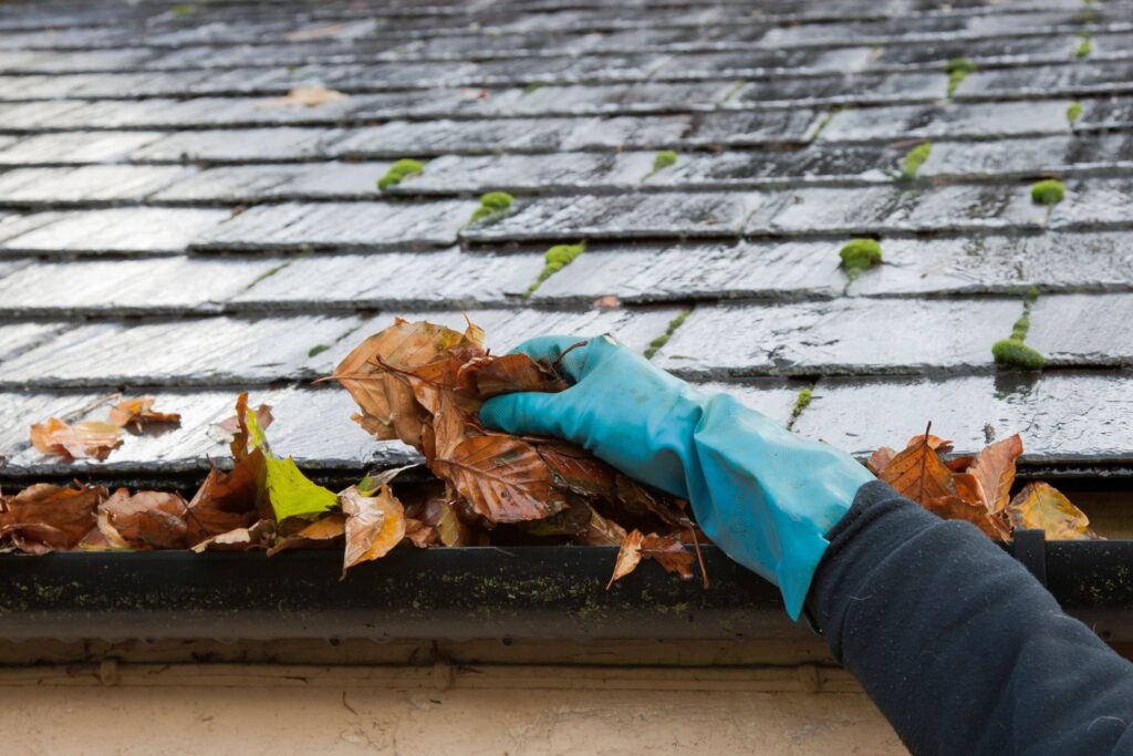 Vancouver gutter cleaning